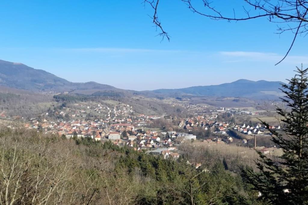 Ville Centre - Gite Le Villois - Au Coeur De L'Alsace Exterior foto